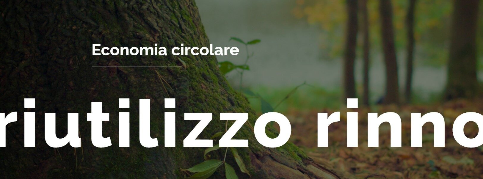 Campaldino Legnami di Vezzosi Srl